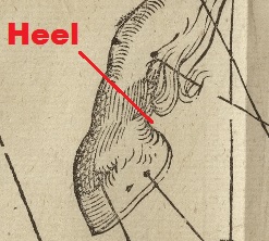 heeldetail