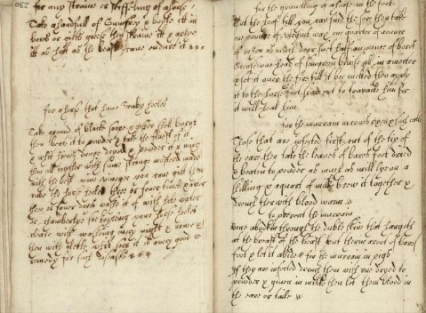 wellcomelibrary_ms144_fol230